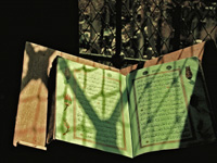 246443_web_R_by_Achim-Lueck